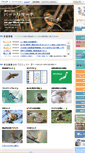Mobile Screenshot of bird-research.jp